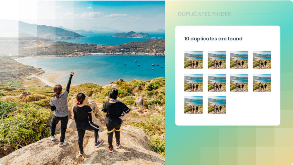 Auto Tagging | Imagga Technologies