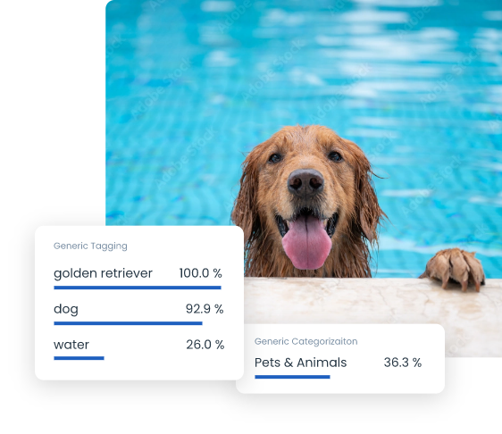 Recognition | Imagga Technologies